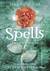 Spells (Wings, #2)