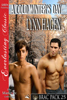 A Cold Winter's Day (Brac Pack #25)