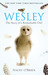 Wesley The Story of a Remarkable Owl by Stacey O'Brien