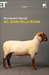 Nel segno della pecora by Haruki Murakami