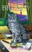 The Big Kitty (Sunny & Shadow Mystery, #1) by Claire Donally