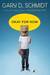 Okay for Now by Gary D. Schmidt