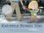 Knuffle Bunny Too: A Case of Mistaken Identity (Knuffle Bunny, #2)