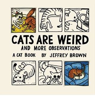 cats-are-weird-and-more-observations