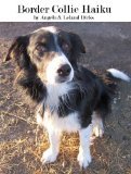 border-collie-haiku