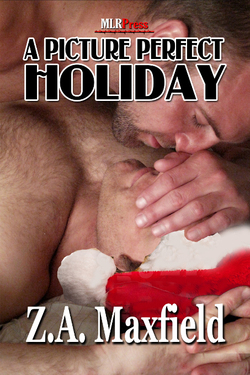 a-picture-perfect-holiday