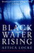 Black Water Rising by Attica Locke