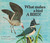 What Makes a Bird a Bird?