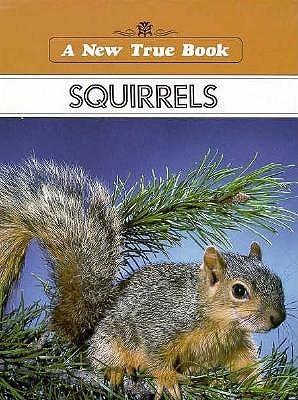 squirrels
