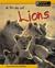A Pride of Lions by Richard Spilsbury