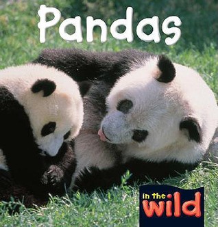 pandas