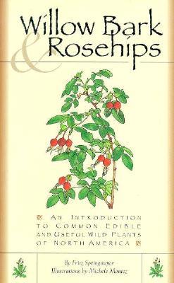 Image result for willow bark and rosehips
