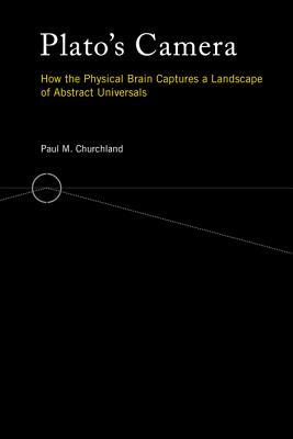 plato-s-camera-how-the-physical-brain-captures-a-landscape-of-abstract-universals