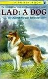 Lad, a Dog cover