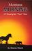 Montana Morning by Sharon Flesch