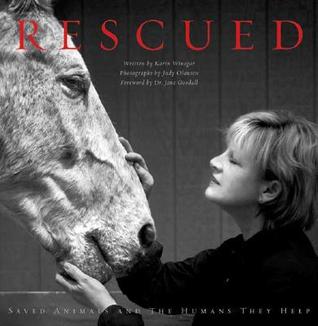 rescued-saved-animals-and-the-humans-they-help