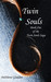 Twin Souls (Twin Souls, #1) by DelSheree Gladden