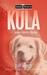Kula (Surfing Detective Mystery #3) by Chip Hughes