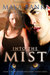 Into the Mist (Falcon Mercenary Group, #1) by Maya Banks