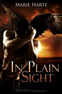 In Plain Sight (Cougar Falls #2)