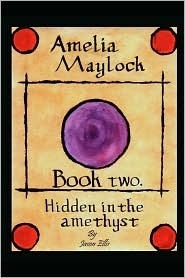 hidden-in-the-amethyst