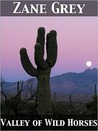 Valley Of Wild Horses cover