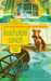 Lead-Pipe Cinch (A Georgiana Neverall Mystery #2) by Christy Evans