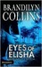 Eyes of Elisha (Chelsea Adams Series, #1) by Brandilyn Collins