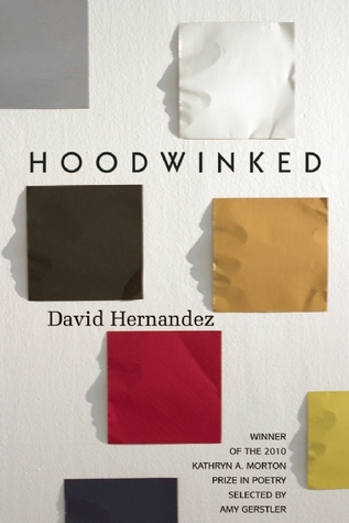hoodwinked