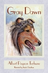 Gray Dawn cover