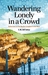 Wandering Lonely in a Crowd Reflections on the Muslim Condition in the West by S.M. Atif Imtiaz