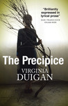 The Precipice cover