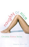 Naughty or Nice: Christmas Erotica Stories cover