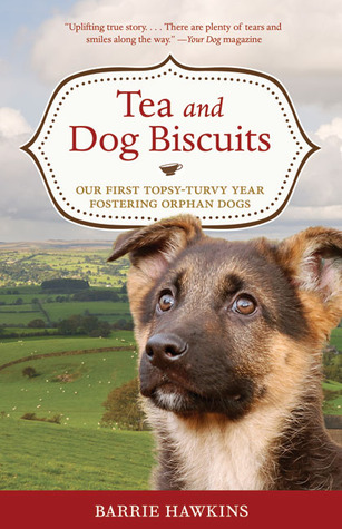 tea-and-dog-biscuits-our-first-topsy-turvy-year-fostering-orphan-dogs
