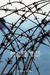 Barbed Wire A Political History by Olivier Razac