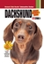 Dachshund by Dog Fancy Magazine
