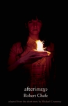 Afterimage cover