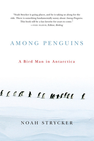 among-penguins-a-bird-man-in-antarctica