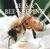 Bees & Bee-Keeping by Derek Hall