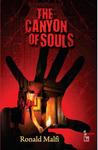 The Canyon Of Souls cover