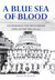 A Blue Sea of Blood: Deciphering the Mysterious Fate of the USS Edsall