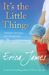 It's the Little Things cover