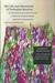 The Life and Adventures of Trobadora Beatrice as Chronicled by Her Minstrel Laura A Novel in Thirteen Books and Seven Intermezzos by Irmtraud Morgner