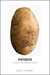 Potato A History of the Propitious Esculent by John Reader