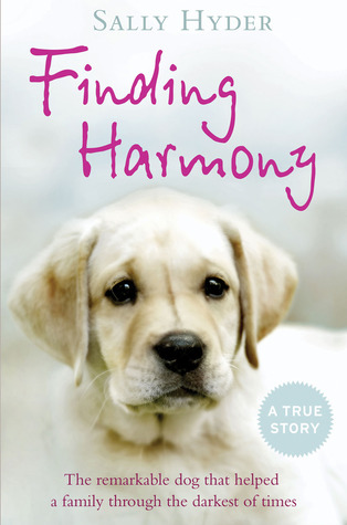 finding-harmony-the-remarkable-dog-that-helped-a-family-through-the-darkest-of-times