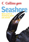 Seashore