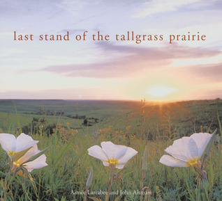last-stand-of-the-tall-grass-prairie