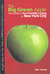 The Big Green Apple Your Guide to Eco-Friendly Living in New York City by Benjamin Jervey