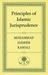 Principles of Islamic Jurisprudence by Mohammad Hashim Kamali