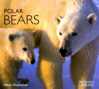 polar-bears